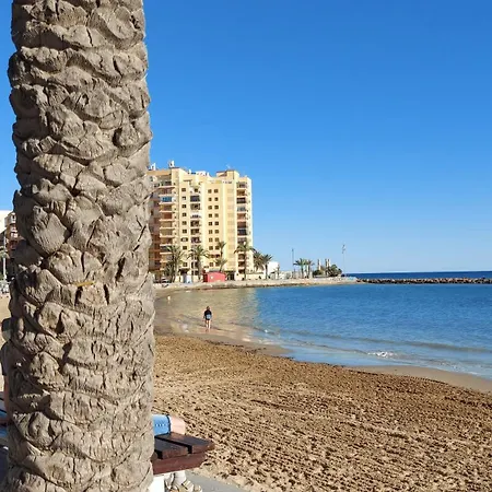 Alba * Torrevieja
